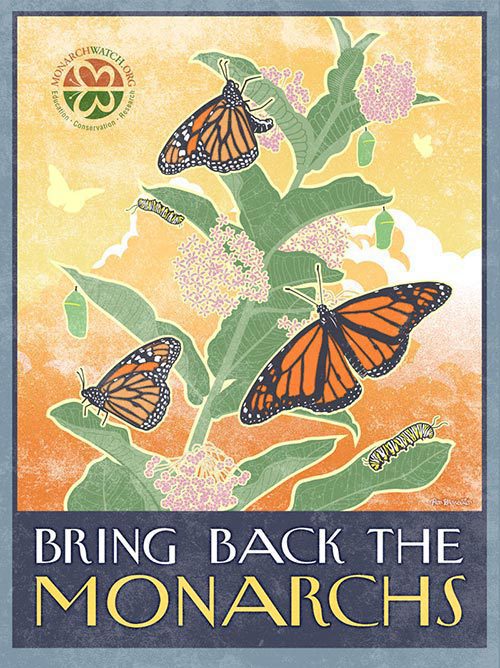Bring Back the Monarchs Bring Back the Monarchs