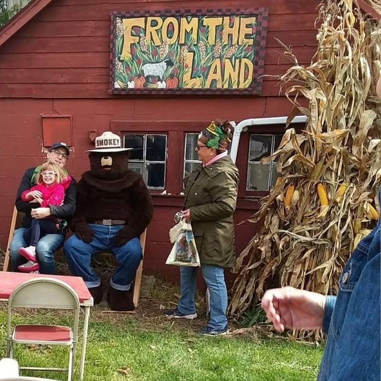 milltown artwork from the land smokey the bear