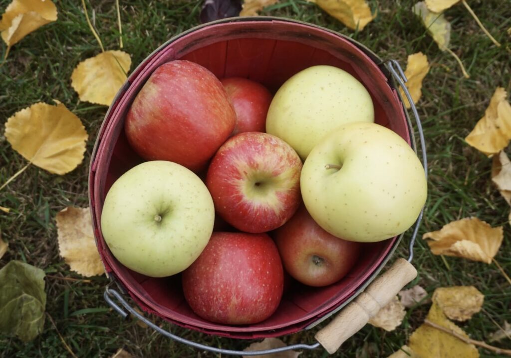 redman's apples