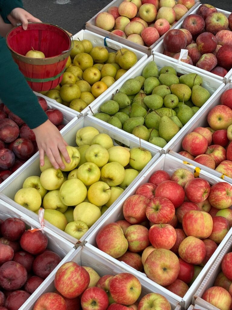 redman's apples and pears