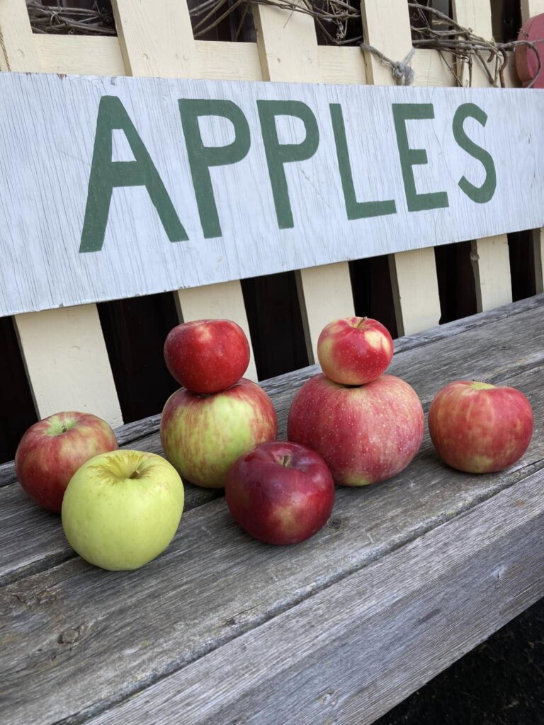 redman's apples bench pic